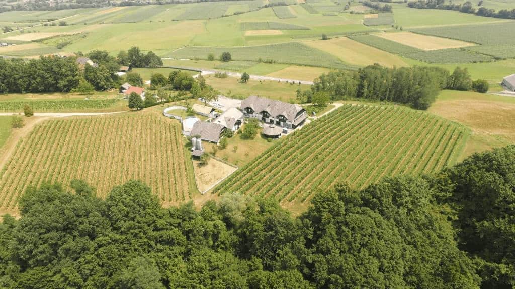 Modern Villa Istenič with private vineyard suites overlooking sunlit Bizeljsko hills, featuring a terrace and sparkling wine glasses set for tasting. Best Wine Hotels in Slovenia.