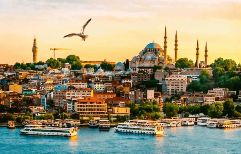The imperial 16th-century silhouette of the Süleymaniye Mosque and Golden Horn harbor, a primary institutional landmark in the best historic hotels in Turkey country audit.