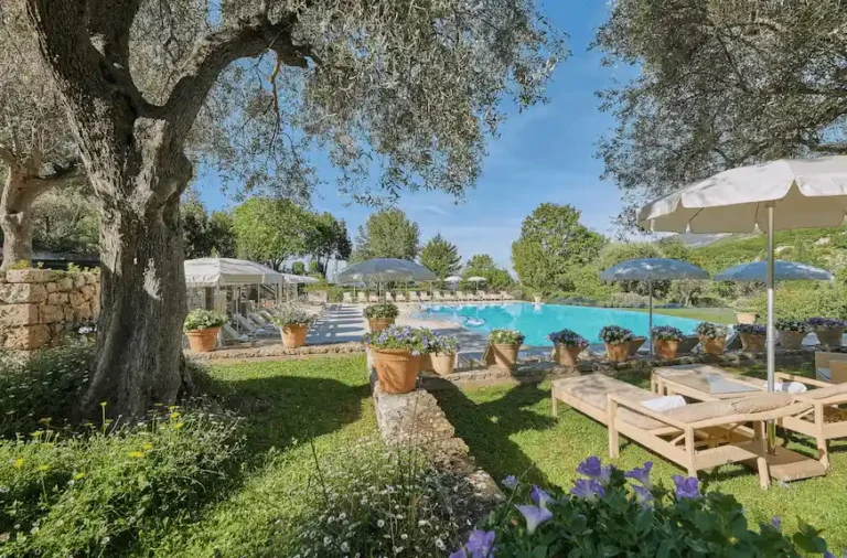 The heated infinity swimming pool at Château Saint-Martin & Spa, bordered by century-old olive groves and manicured gardens on the original 12th-century Templar commandery grounds.